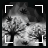 skill icon