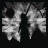 skill icon